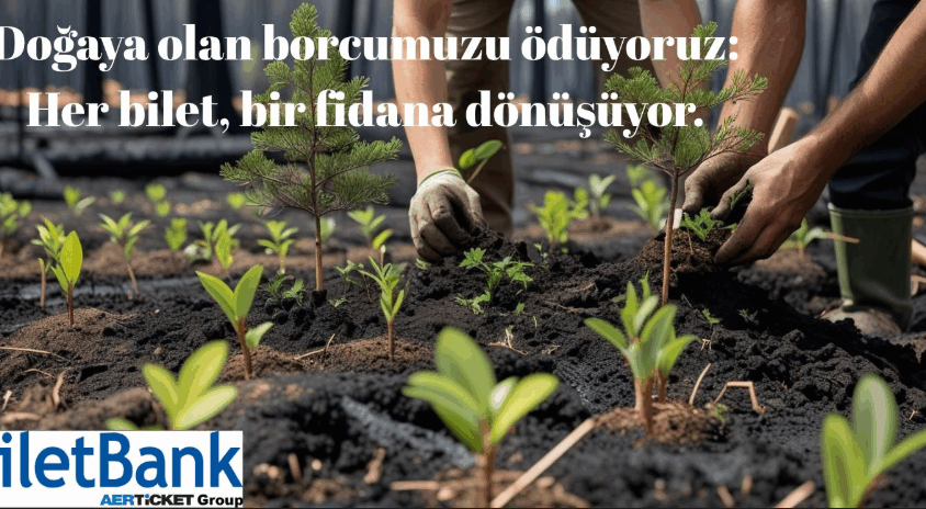 Ekran görüntüsü 2025-08-08 181236